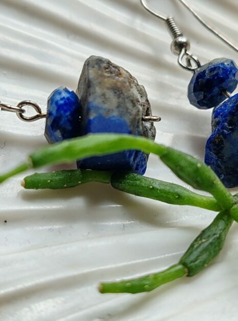 IMG_20250517_141523 IMG_20250517_141523