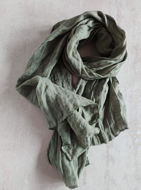 IMG_20241020_135907 IMG_20241020_135907