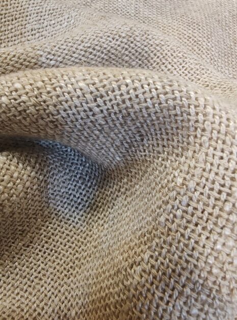 IMG_20260114_160905 IMG_20260114_160905